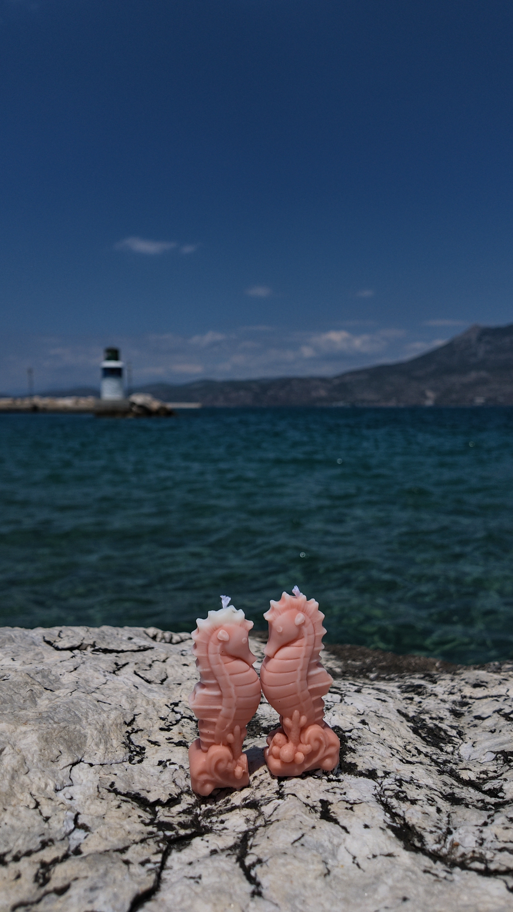 Melt Tease κεριά ιππόκαμπος στη θάλασσα